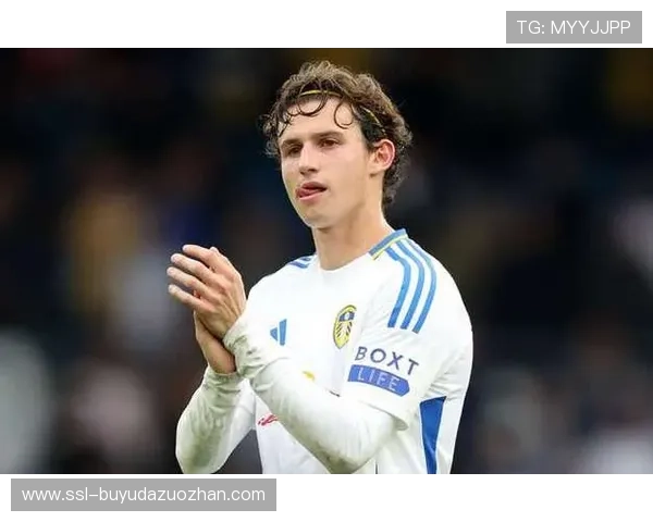 利兹联1-2切尔西，帕尔默复出献关键传球