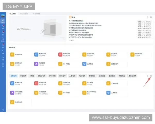 低代码开发平台推出，降低定制化功能开发难度